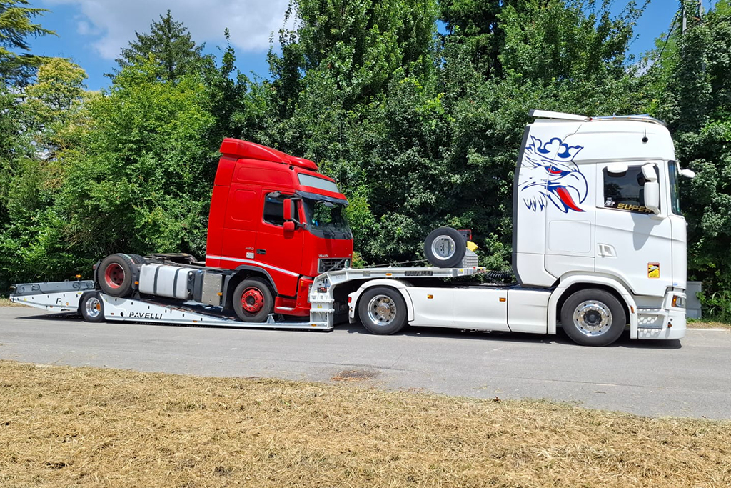 Sull Trans Transport camioane