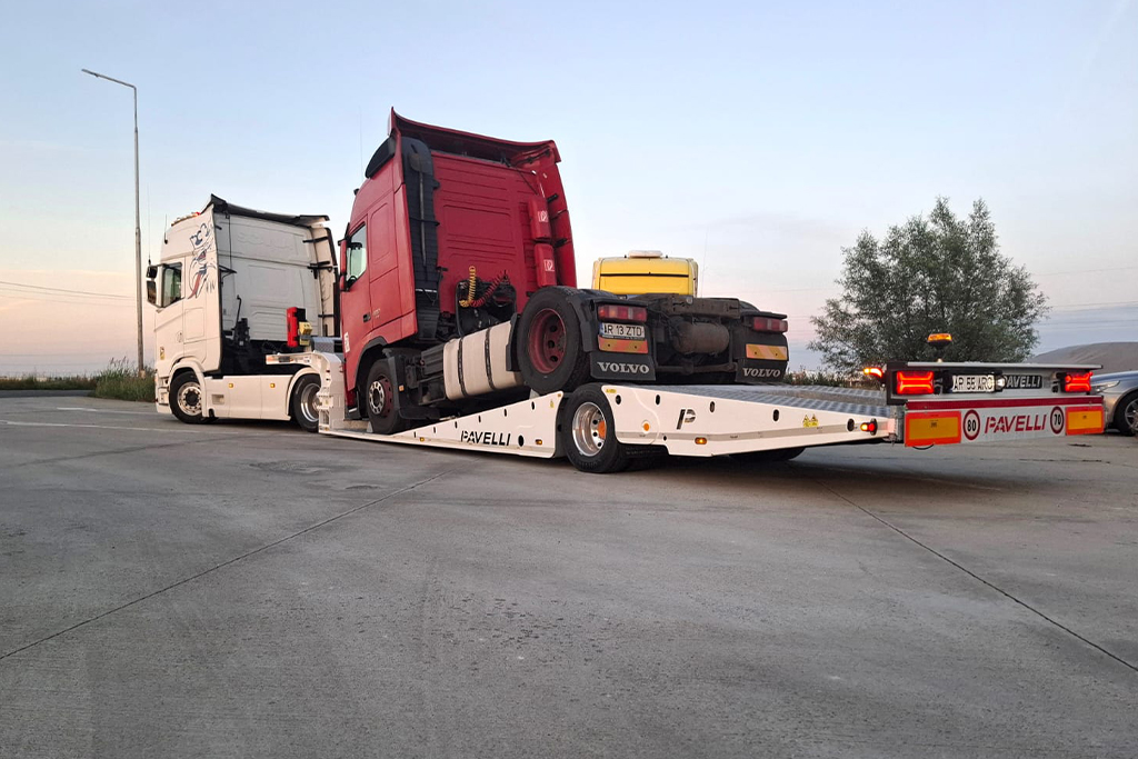 Sull Trans Transport camioane